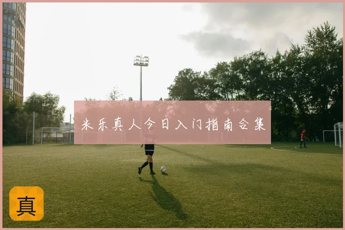 米乐真人今日入门指南合集